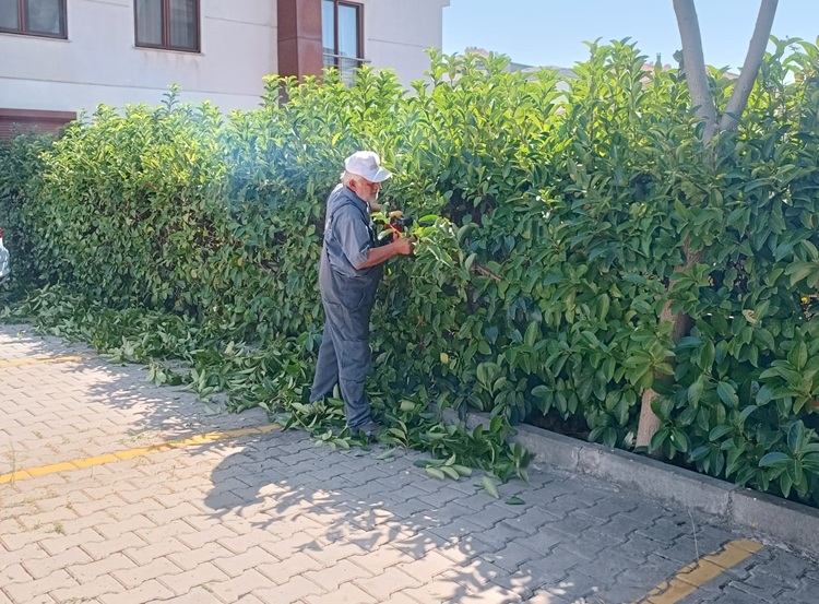 bahçe bakımı istanbul